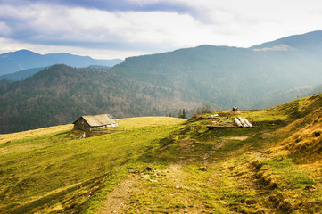 Obraz premium Alone old wooden house in high mountains on sunrise. Hut for the shepherd on the hill