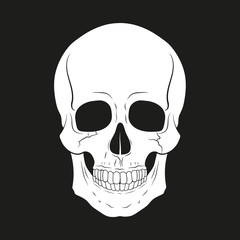 Vector illustration of skull.