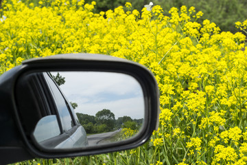 the reflection in the mirror freeway