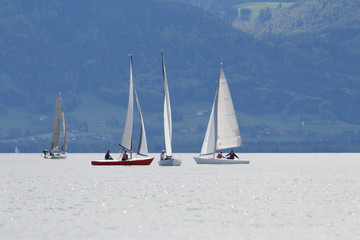 Fototapeta premium Sailing boats on lake chiemsee near Seebruck