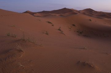 Fototapeta na wymiar Erchebbi desert in to morocco