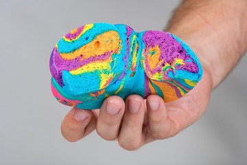 Male hand holding a rainbow bagel isolated on gray with a shallow depth of field
