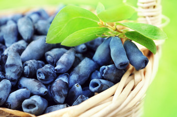 Honeysuckle berries on wicker basket, selective focus