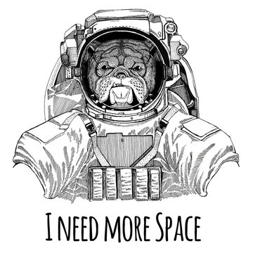 Bulldog wearing space suit Wild animal astronaut Spaceman Galaxy exploration Hand drawn illustration for t-shirt