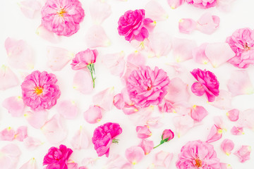 Pink rose flowers and petals on white background. Flat lay, top view. Floral pattern