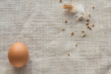 Chicken eggs on a linen napkin