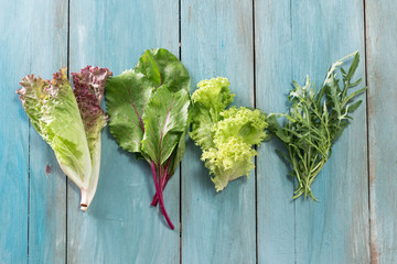 Fresh green salad with beet leaves,arugula,romaine and lettuce. healthy food