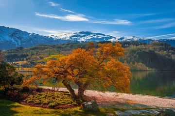 Zelfklevend Fotobehang Landscape in Norway  © bogdan643
