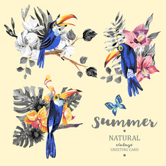 Set of vintage summer vector toucan, butterflies and flowers