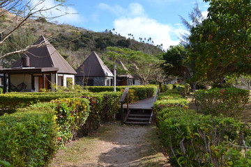 Fototapeta na wymiar path with huts