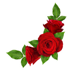Obraz premium Czerwone kwiaty róży w układzie narożnym