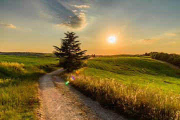 Obraz premium Extraordinary panorama of the Siena countryside, in the valley of the valley