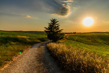 Obraz premium Extraordinary panorama of the Siena countryside, in the valley of the valley