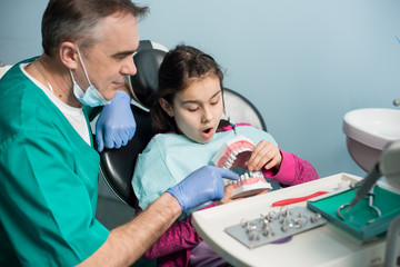 Pediatric dentist showing to girl in dentist chair dental jaw model at dental clinic. Dentistry, early prevention, oral hygiene concept.