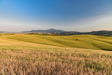 Obraz premium Extraordinary panorama of the Siena countryside, in the valley of the valley