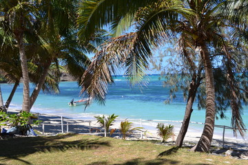 Fototapeta na wymiar ocean view with palm
