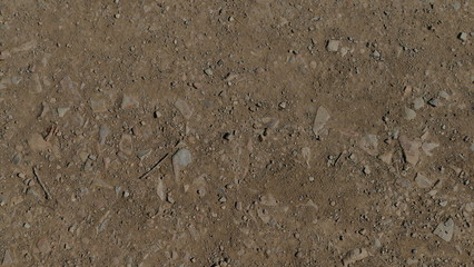 Mud and Rocks Texture 02