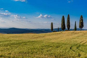 Rural landscape of valleys in summer in the province of siena in tuscany italy