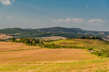 Obraz premium Idyllic panorama of the valley of the orcia in tuscan province of siena in summer with cultivated fields