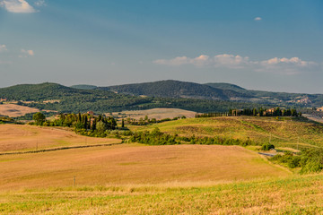 Fototapeta na wymiar Idyllic panorama of the valley of the orcia in tuscan province of siena in summer with cultivated fields