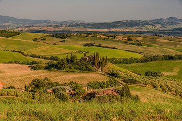 Fototapeta premium Idyllic panorama of the valley of the orcia in tuscan province of siena in summer with cultivated fields