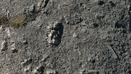 Rock Texture 01