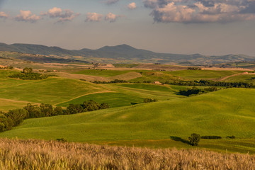 Idyllic panorama of the valley of the orcia in tuscan province of siena in summer with cultivated fields