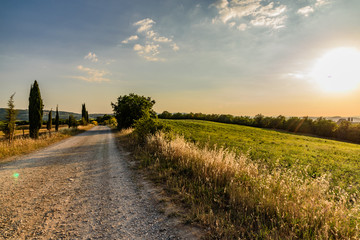Fototapeta premium Idyllic panorama of the valley of the orcia in tuscan province of siena in summer with cultivated fields