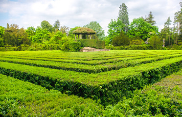 Fototapeta na wymiar square maze hedge garden
