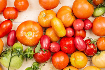 Close-up view of fresh tomatoes. Young juicy tomatoes. A lot of tomatoes. Summer agriculture farm market tray full of organic tomatoes