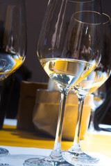 Wine tasting on winery, wineglass