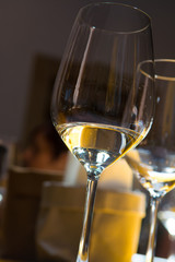 Wine tasting on winery, wineglass