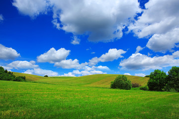 Fototapeta premium Field with green grass and blue sky with clouds.