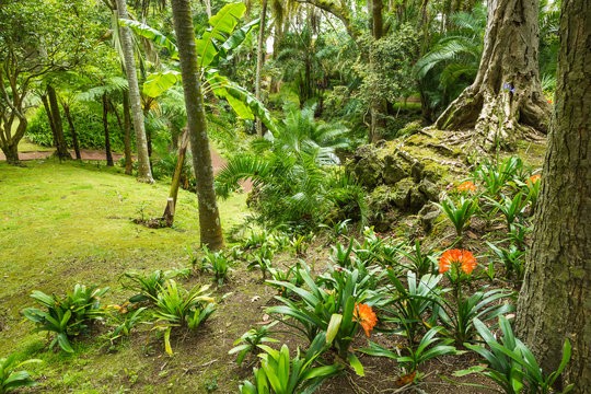 Antonio Borges Botanical Garden in Ponta Delgada
