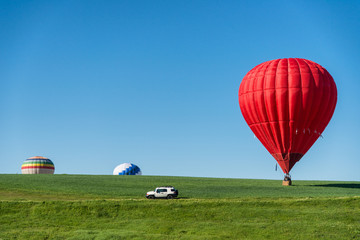 Fototapeta premium Colorful hot air balloons over green field