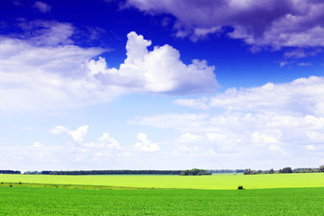 Obraz premium Blue sky with clouds and green grass