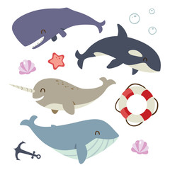 Fototapeta premium vector blue whale, sperm whale, narwhal and killer whale set