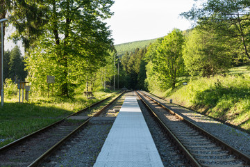 Fototapeta premium railroad track winding through green summer forest