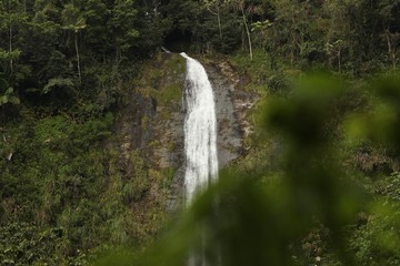 cascada