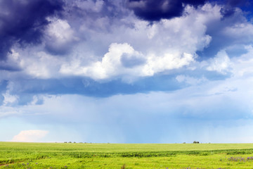 Sky with stormy clouds and green grass
