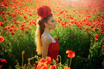 Naklejka premium girl in field of poppy seed