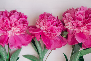 Obraz premium Floral frame with pink peonies on wooden background. Mothers day or Womens day.Flowers background