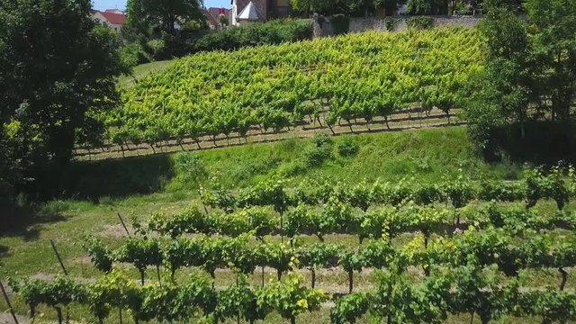 Aerial of a vineyard flying close in front of a church