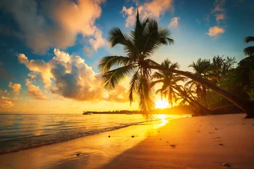 Fond de hotte en verre imprimé Coucher de soleil sur la plage Palm et plage tropicale à Punta Cana, République Dominicaine