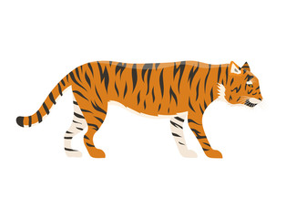 Tiger action wildlife animal danger mammal fur wild bengal wildcat character vector illustration