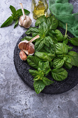 Fresh green basil with garlic and olive oil