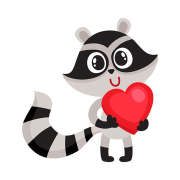 Cute raccoon character holding big red heart, sy,bol of love, cartoon vector illustration isolated on white background. Funny little raccoon with big red heart, front view, full length portrait