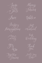 Fototapeta na wymiar Vector calligraphy set for design wedding invitations, photo overlays, cards.