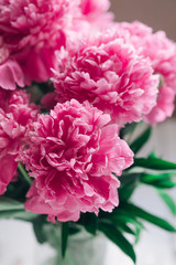 Beautiful bouquet of pink peonies. Flowers background