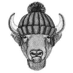 Buffalo, bison,ox, bull wearing winter knitted hat